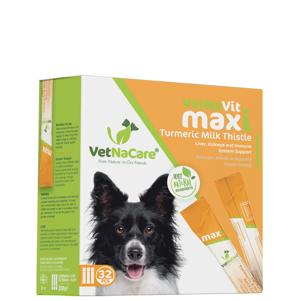 Turmeric milk 2025 for dogs